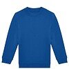 Variation picture for Royal Blue