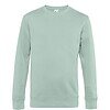 Variation picture for Aqua Green