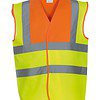 Variation picture for Orange Yoke/Yellow