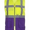 Variation picture for Yellow/Purple