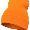 Variation picture for Blaze Orange